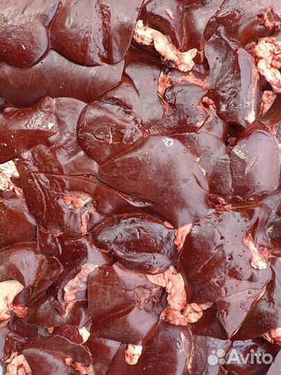 Говяжья и баранья обрезь, субпродукты для собак от