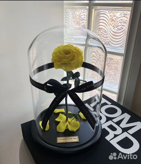 Роза в колбе