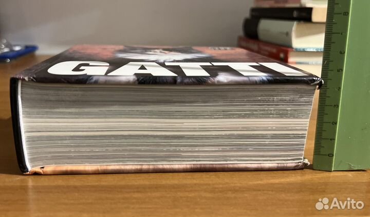 Альбом с кошками со всего мира “Gatti”