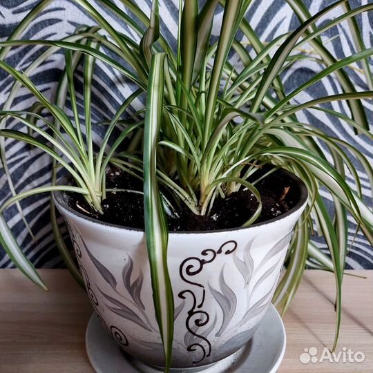 Цветочный горшок