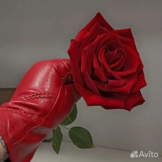 Перчатки женские кожаные новые