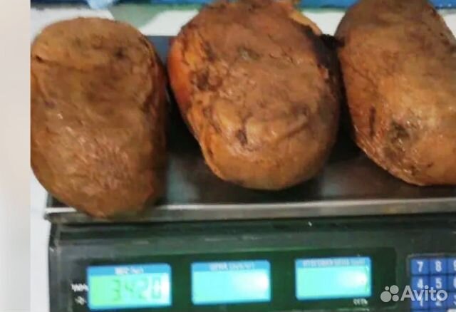 Домашняя деревенская колбаска