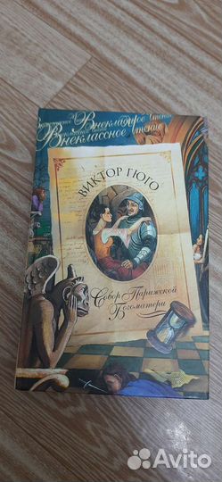 Собор парижской богоматери книга