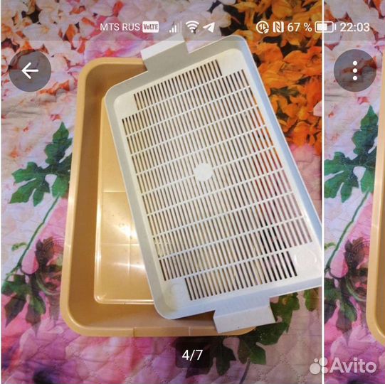 Лоток для кошек