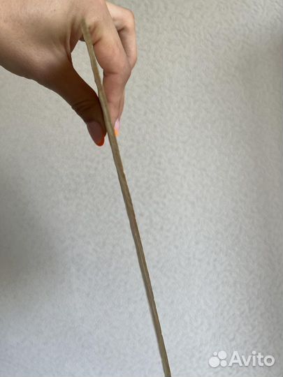 Египетский папирус с рисунком