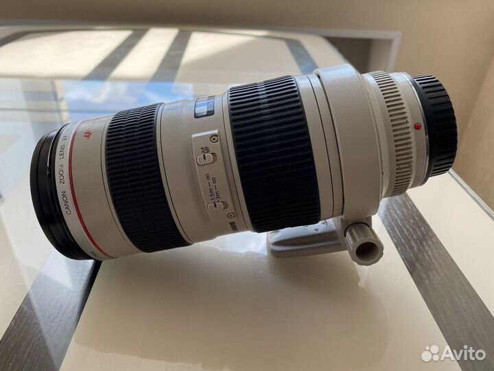 Canon ef 70-200mm f 2.8L usm