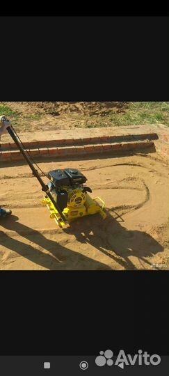 Сдам в аренду