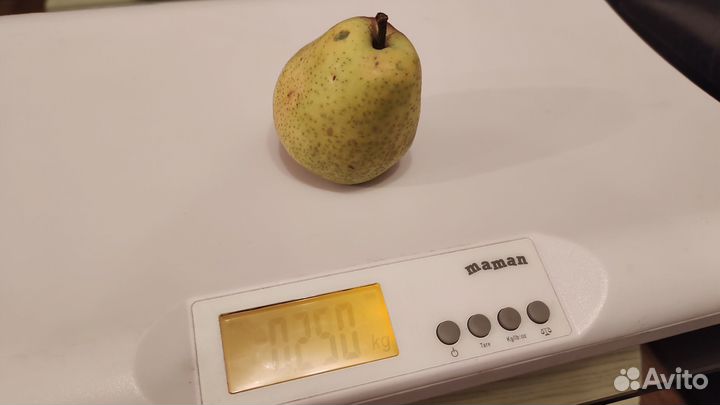 Электронные детские весы Maman sbbc212