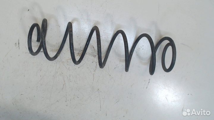 Пружина подвески Renault Laguna 2, 2004