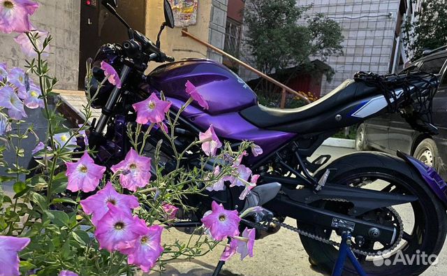 Suzuki SV650 ABS, 2016, 90-V-twin