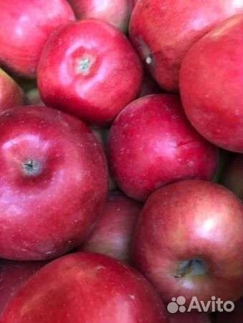 Яблоки флорина, айдаред