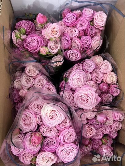 Цветы оптом в г. Елец