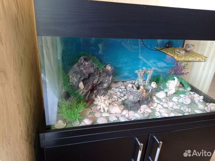 Аквариум 240л