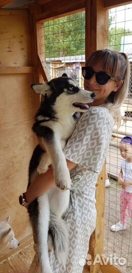 Репетитор немецкого Skype, Zoom