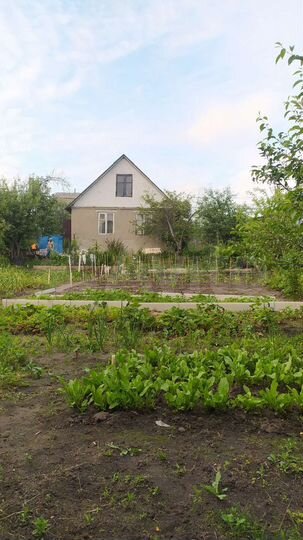 Дача 42 м² на участке 6 сот.