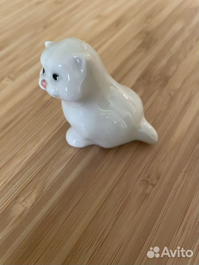 Декоративный котенок