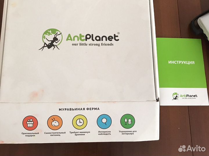 Муравьиная ферма без муравьев