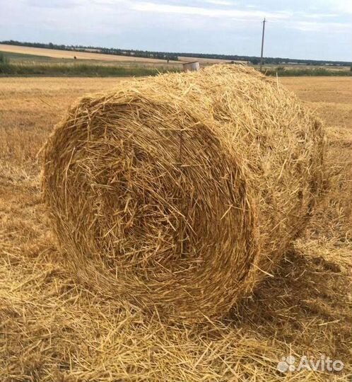 Солома в тюках с доставкой