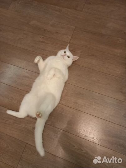 Рамка для фото объемная