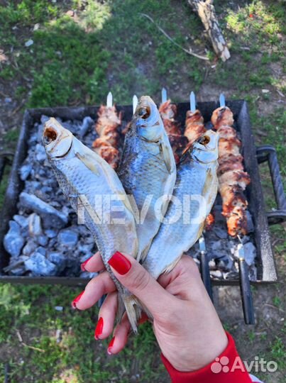 Вяленая Астраханская Вобла