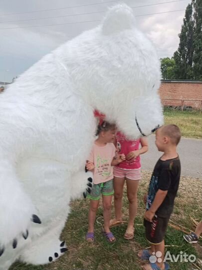 Мишка идет к вам в гости