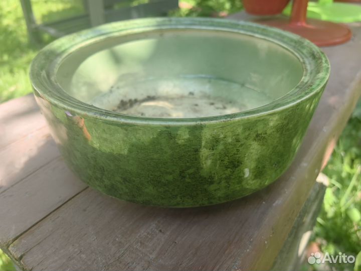 Горшок невысокий для цветов