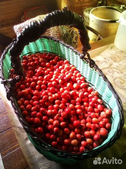 Боярышник ягоды