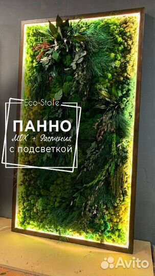 Панно из мха и растениями с подсветкой