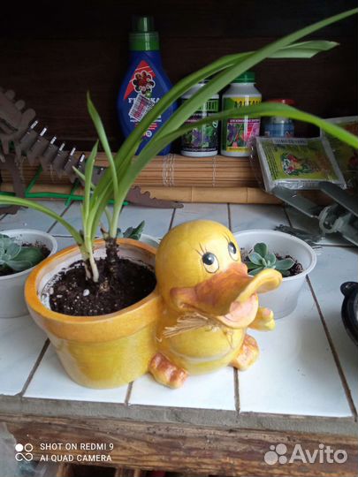 Кашпо для цветов Утенок