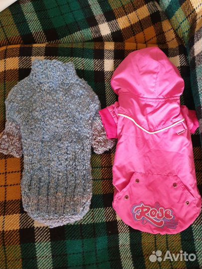 Одежда для маленьких собак