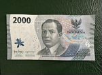 Банкноты Дирхамы ОАЭ индонезия рупии