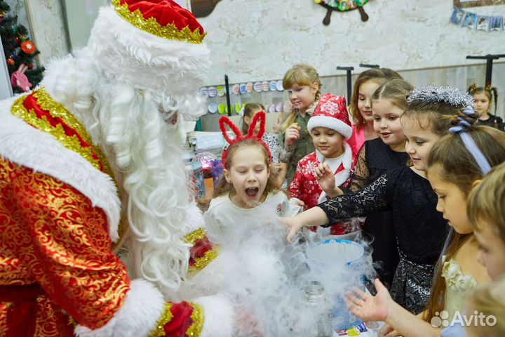 Дед Мороз и Снегурочка Новогоднее Шоу Фокусы