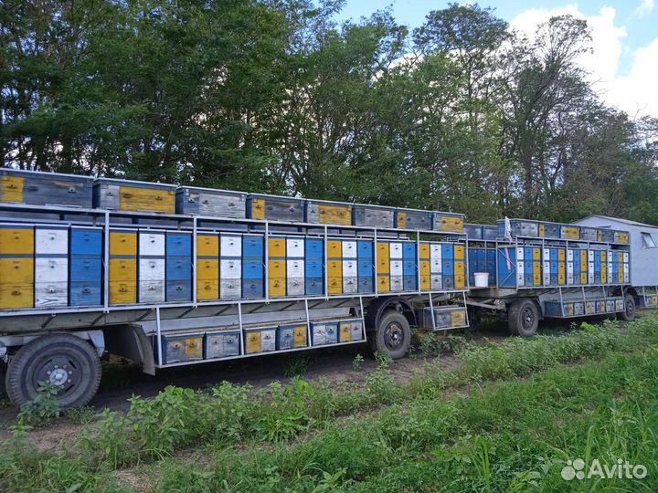 Прицеп пчеловоз, 2010