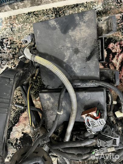 Проводка моторного отсека Nissan Qashqai J10 HR16