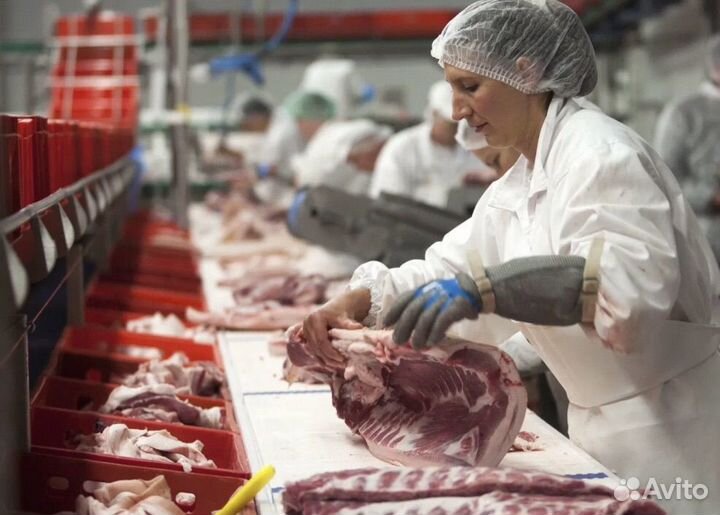 Разнорабочий Пенза