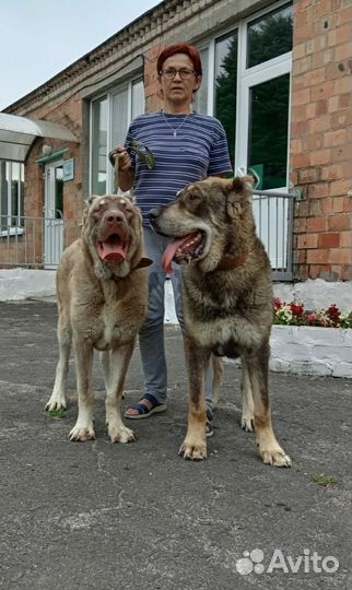 Мальчики