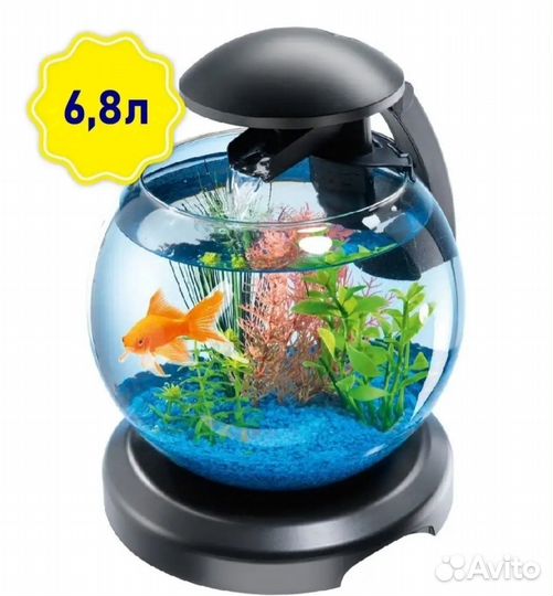 Аквариум