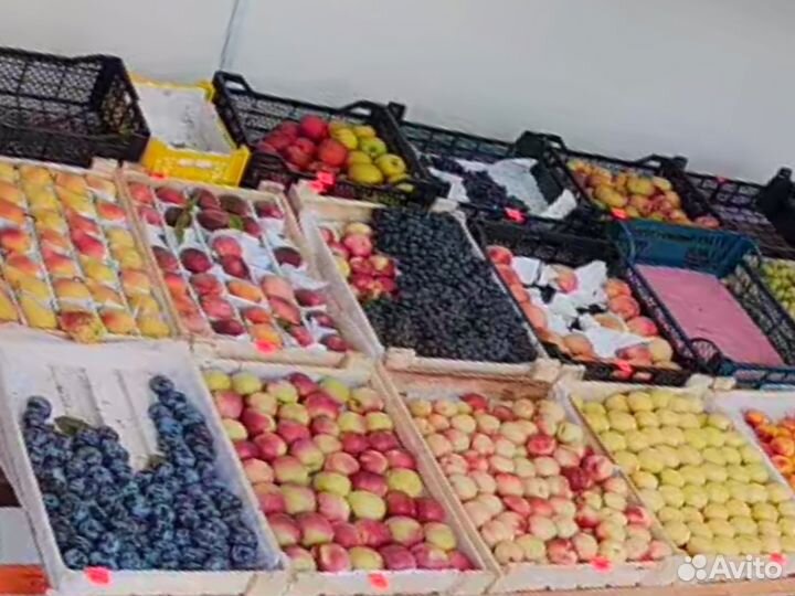 Сдам в аренду