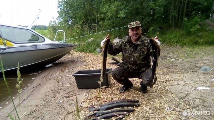 Организация рыбалки