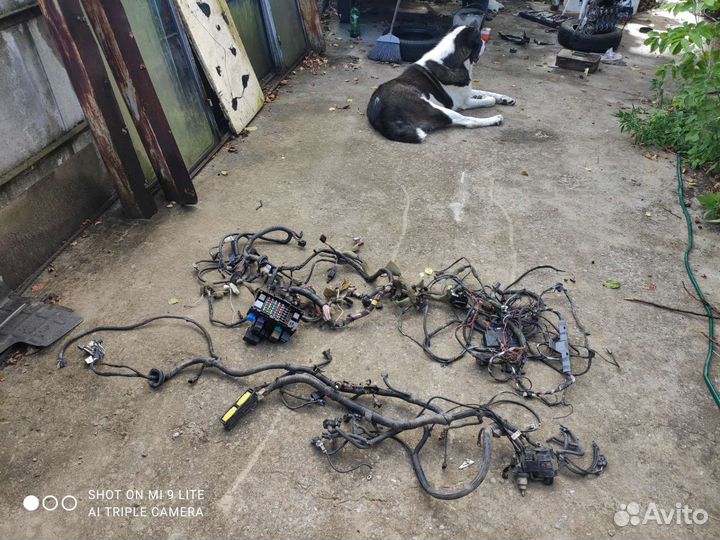 Проводка вся на Дево Нексия 16 клапан