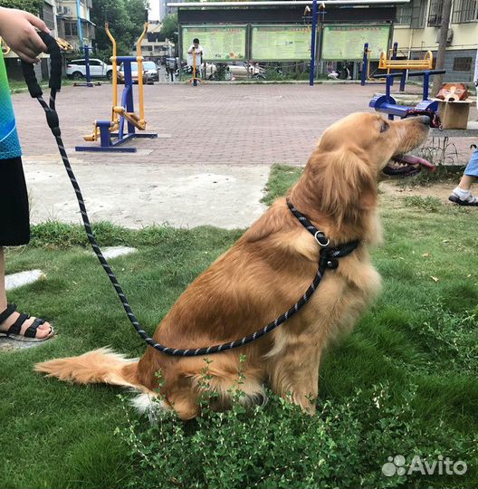 Поводок усиленый