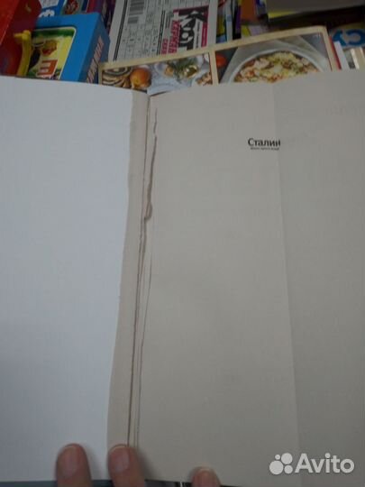 Сталин. Жизнь одного вождя. Хлевнюк О. В