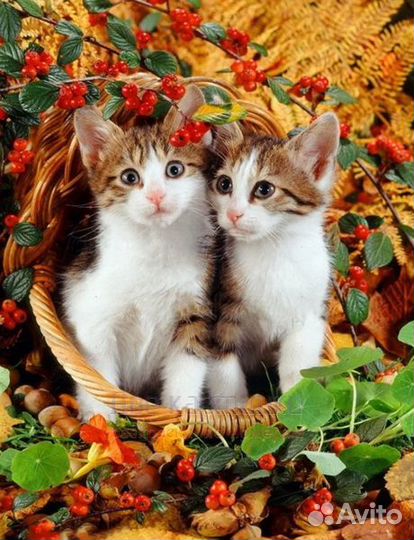 Алмазная мозаика 30x40 Котята в корзине среди ягод