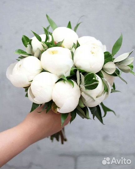 Пионы Букет пионов