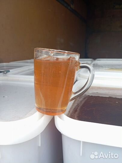 Мед с Горного Чарыша