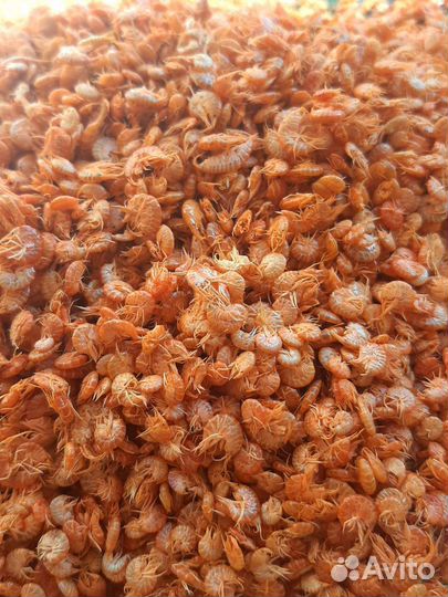 Корм для рыбок аквариумных Гаммарус