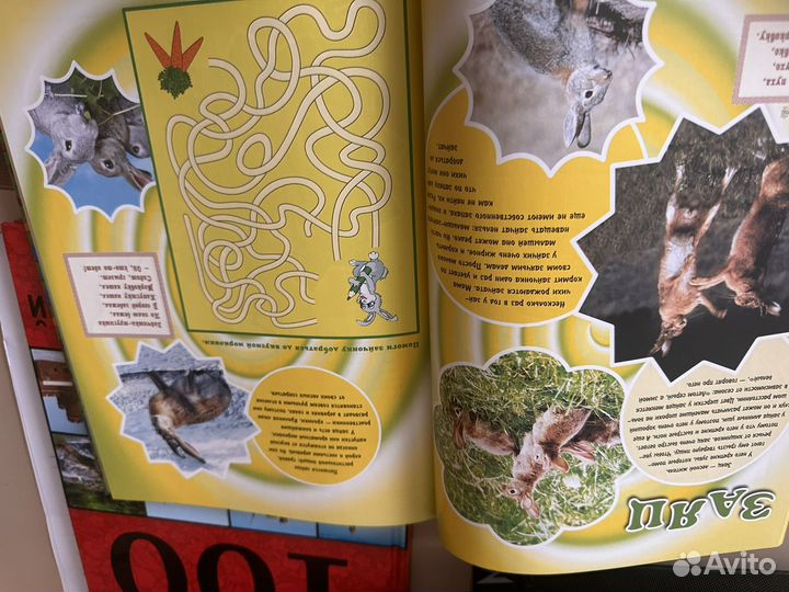 Детская книга про животных