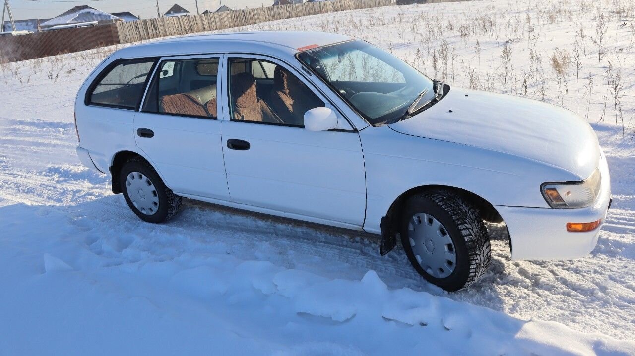 Toyota Corolla: фото владельца