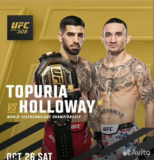 Билеты на UFC 308