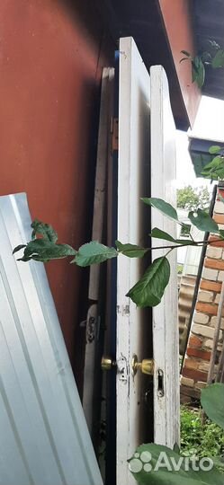 Дверные полотна б/у